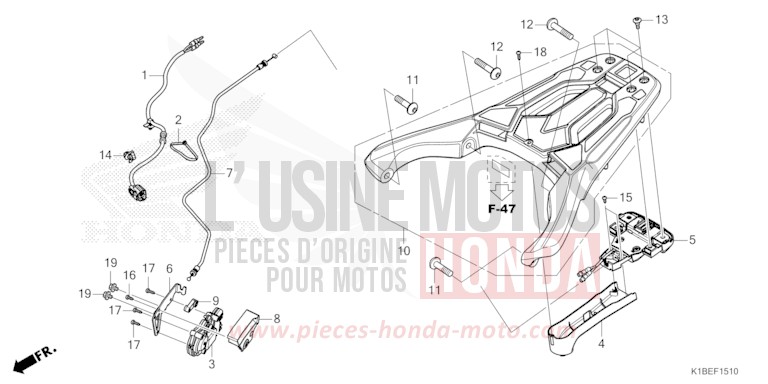 TRAEGER HINTEN/STELLGLIED von Forza 350 PEARL SIENA RED (R320) von 2023